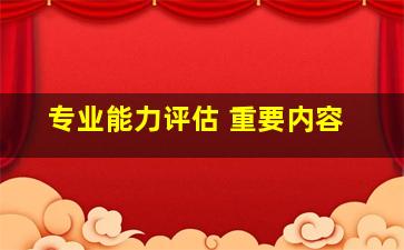 专业能力评估 重要内容